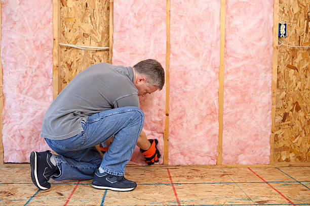 Best Specialty Insulation in Humble, TX